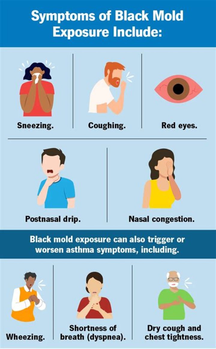 Can black mold cause mental issues?