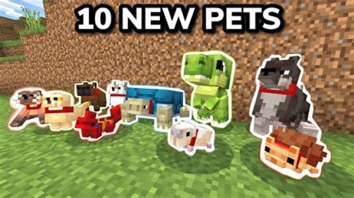 Can you have pets in Minecraft?