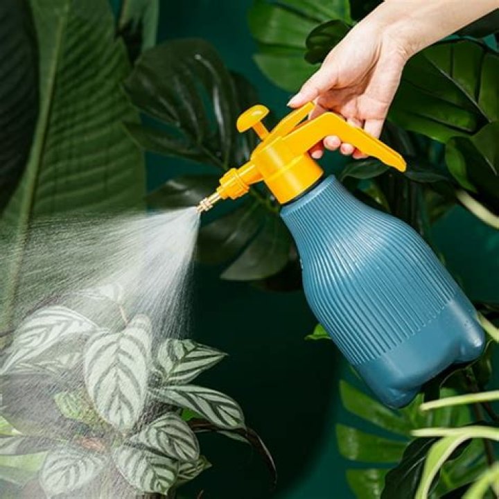 Does spraying water on plants help?