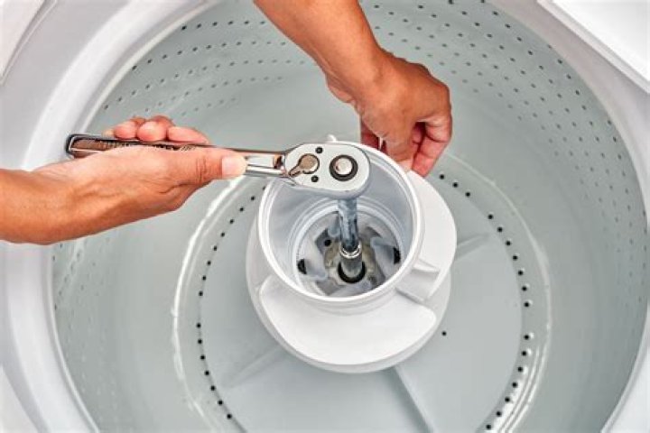 How do mice get in your washing machine?