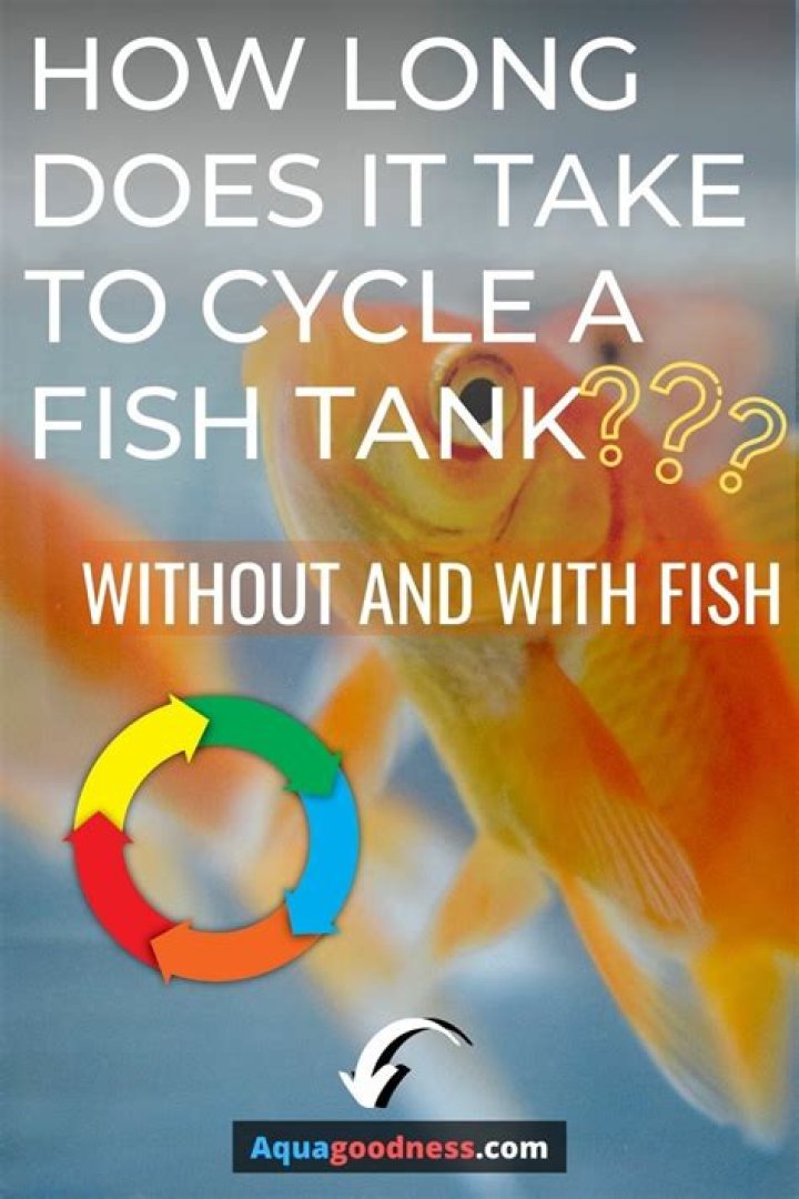 How long does it take to cycle a tank with fish?