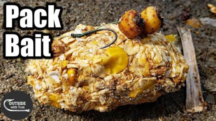 Is chicken good bait for fishing?