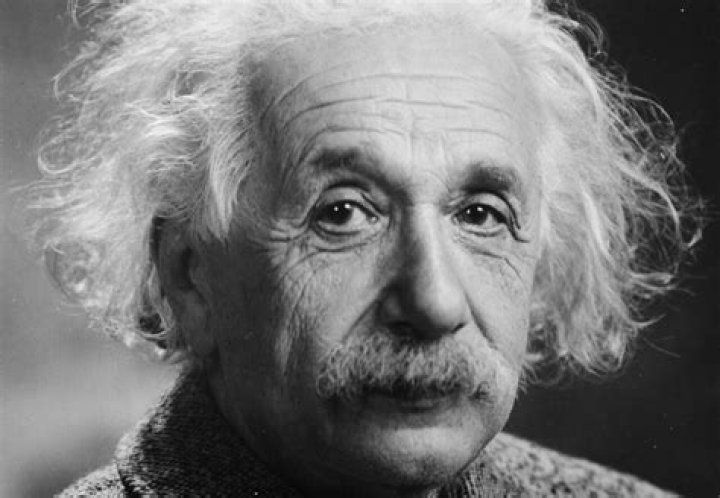 Was Albert Einstein vegan?
