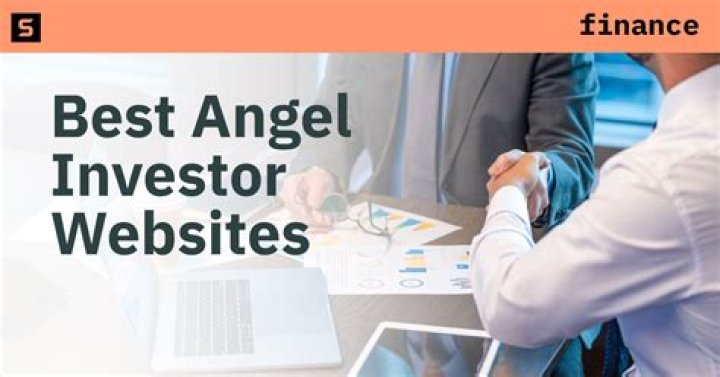 What is angel investors in business?