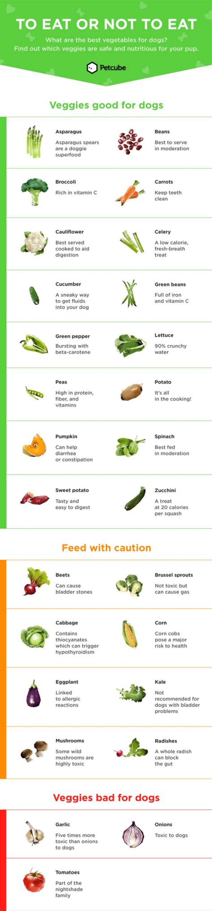 What vegetables can a dog not eat?