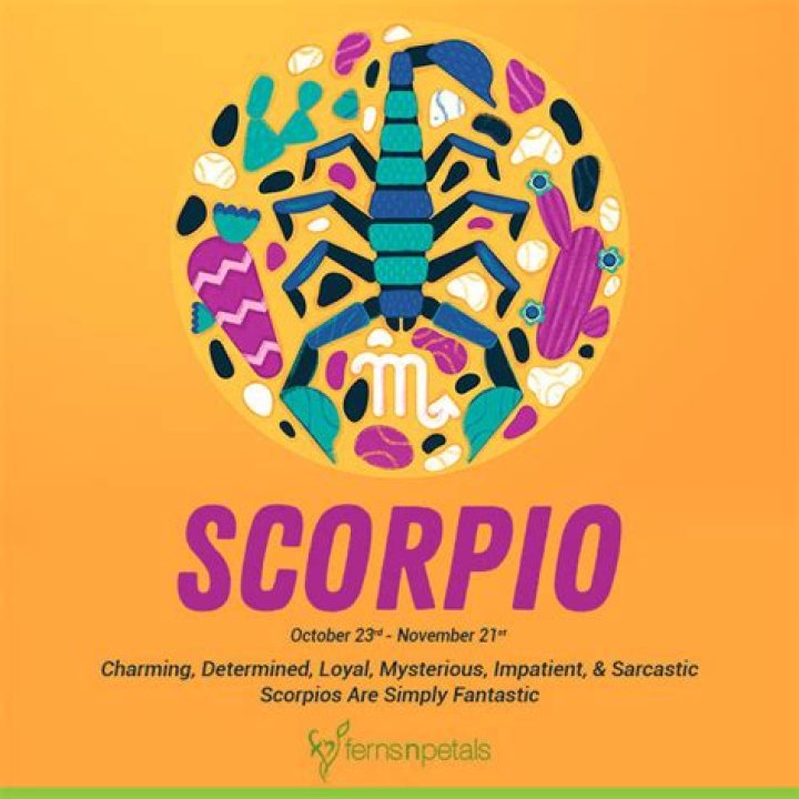 Why are Scorpio so cute?