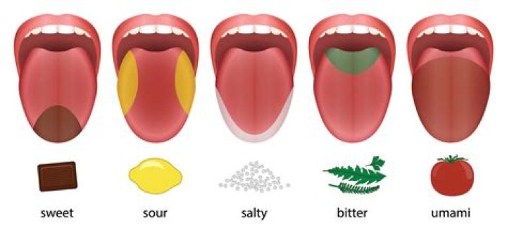 Why does my mouth get salty before I vomit?